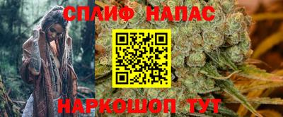 ECSTASY Новокубанск