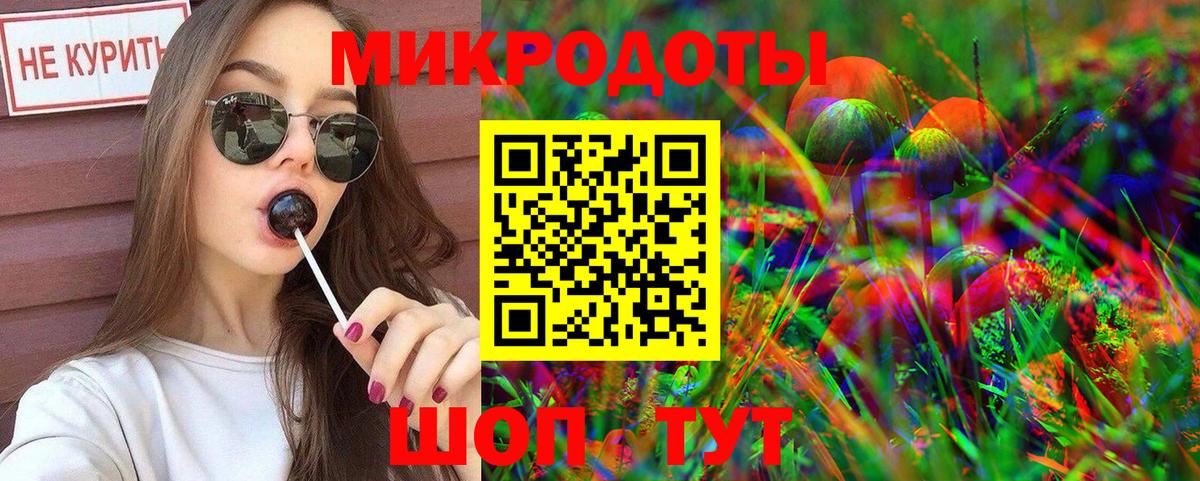 Псилоцибиновые грибы Psilocybe  Псилоцибиновые грибы ЛСД  Волхов  что такое   Вход с VPN 