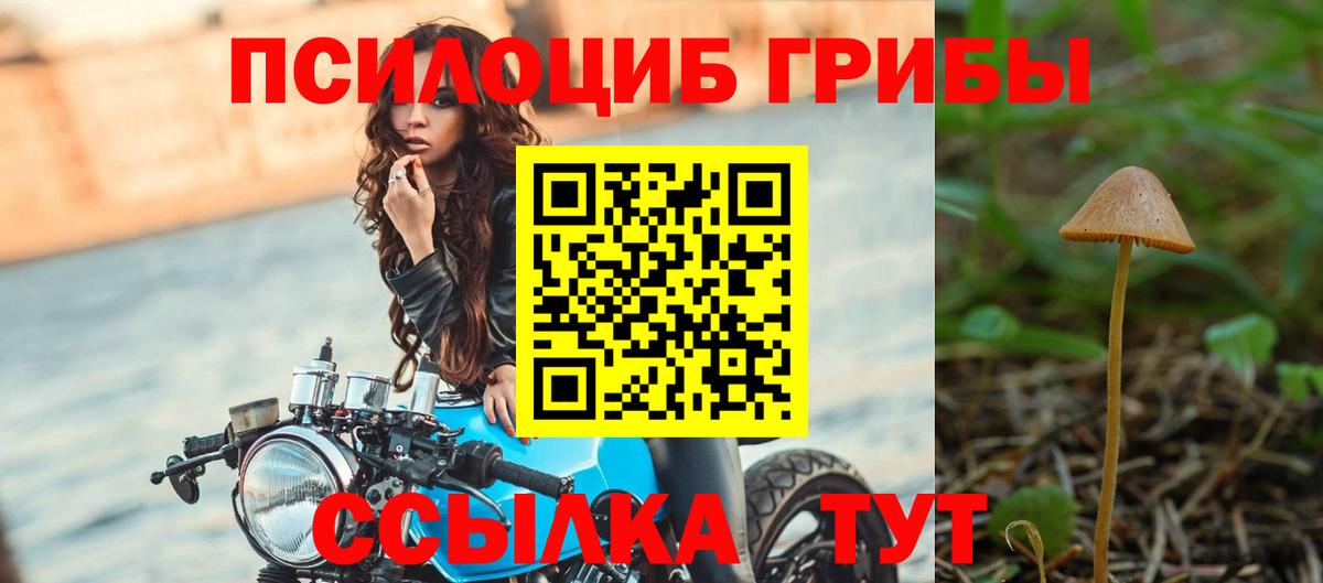 Псилоцибиновые грибы Cubensis Волхов